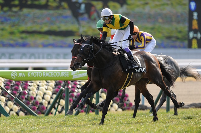 天皇陛下の「即位の礼」が競馬結果に影響か? 日本中の霊気が集積、JRA菊花賞がヤバイことに!?の画像4