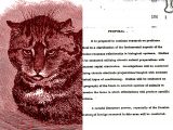 CIAが開発したやばい武器TOP6! 猫・カラスのスパイ、LSDや新興宗教を兵器化…