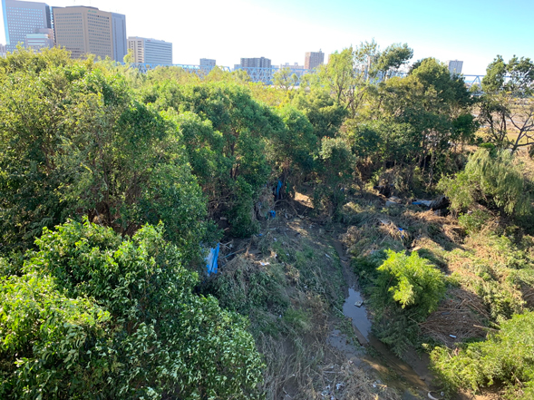 台風19号で破壊された多摩川のホームレス小屋＆おじさんを取材！「ざまあみろ、バチが当たった」と笑う住民も…村田らむルポ！の画像8