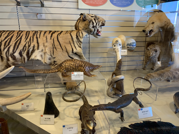 MDMA、麻薬、銃、剥製…税関の押収品がズラリ! 珍スポ「東京税関情報ひろば」が超絶楽しい…村田らむがツッコミルポ!の画像6