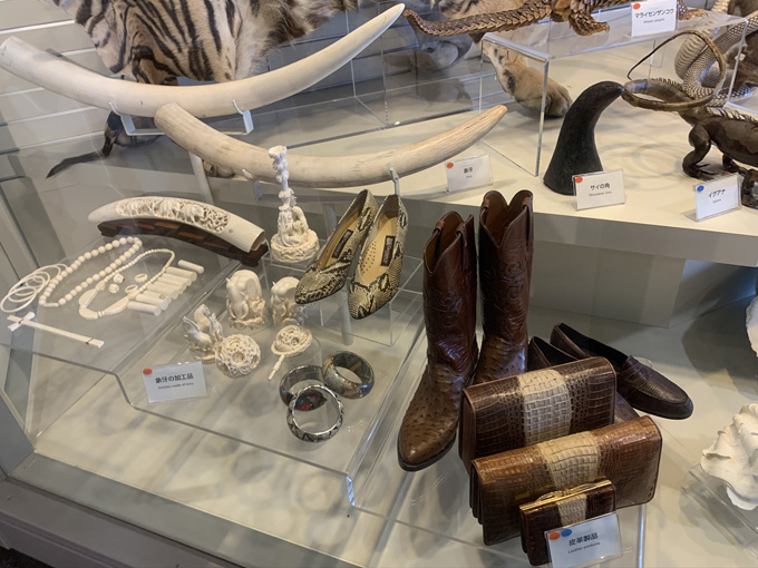 MDMA、麻薬、銃、剥製…税関の押収品がズラリ! 珍スポ「東京税関情報ひろば」が超絶楽しい…村田らむがツッコミルポ!の画像9