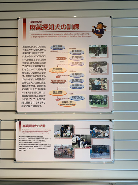 MDMA、麻薬、銃、剥製…税関の押収品がズラリ！ 珍スポ「東京税関情報ひろば」が超絶楽しい…村田らむがツッコミルポ！の画像25