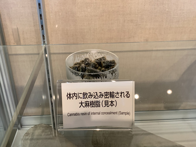 MDMA、麻薬、銃、剥製…税関の押収品がズラリ！ 珍スポ「東京税関情報ひろば」が超絶楽しい…村田らむがツッコミルポ！の画像19