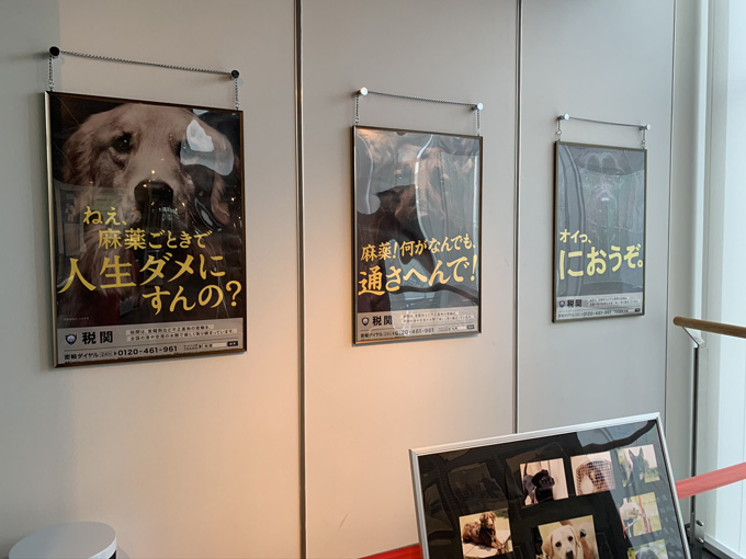 MDMA、麻薬、銃、剥製…税関の押収品がズラリ！ 珍スポ「東京税関情報ひろば」が超絶楽しい…村田らむがツッコミルポ！の画像29