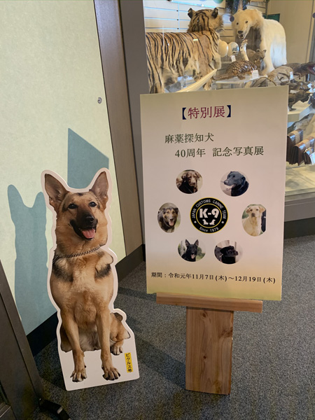 MDMA、麻薬、銃、剥製…税関の押収品がズラリ！ 珍スポ「東京税関情報ひろば」が超絶楽しい…村田らむがツッコミルポ！の画像28