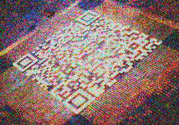 犬鳴村の「QRコード」を読み込むと四足歩行になって死ぬ!? 犬鳴村の最新心霊体験談がガチで怖すぎる!の画像2