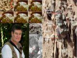 【ガチ速報】「火星に生きた昆虫が存在」米大学教授が証拠を学会で発表! ハチや爬虫類、虫の巣も発見!