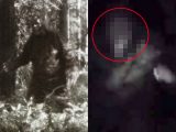 ビッグフットがカメラの前を横切る映像、本物の可能性が高いと評判! 少年絶叫…パターソンフィルム越えか