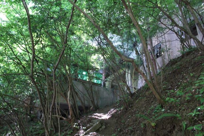 「これはとても良い廃墟。50年前とは思えない…」ルポライター村田らむが激推しする奥多摩湖ロープウェイの画像6