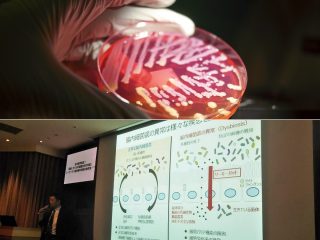 「アゲマン菌」「デブ菌」「金持ち菌」は実在する！ 不食人間の謎も解明… 有名医師が超ヤバい研究結果を暴露！