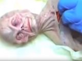 ロシア版ロズウェル「宇宙人解剖映像」が流出! 生々しい肋骨や臓器が露わに… 68年のUFO墜落と関係か!?