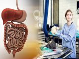 「人間の体は肉を食べるようにできていない」科学者断言 ヴィーガン増加は必然だった!?