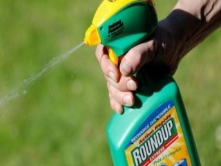 来年も「モンサント」の殺人農薬が使用されまくるとレポートで判明！ 特にアジア…この先何年も農業界のトップに