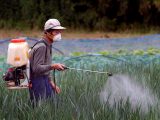 日本の漁業衰退は「アノ農薬」のせいだと英紙が結論! やはりモンサント絡み… EUは全面禁止したのに!