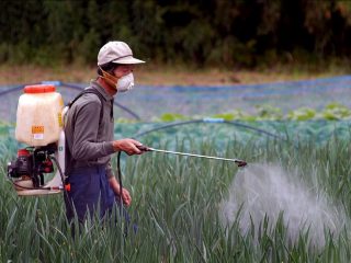 日本の漁業衰退は「アノ農薬」のせいだと英紙が結論！ やはりモンサント絡み… EUは全面禁止したのに！