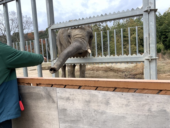 香川県「しろとり動物園」で子供たちに一番人気だった動物が意外過ぎる! 赤ちゃんタイガーでもなく…村田らむが取材の画像6