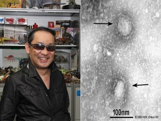 中国の「新型肺炎」予言が的中！ 東京五輪は超ヤバい状況… “ヒアリ上陸”も当てた生態学者が鳴らす警鐘とは!?
