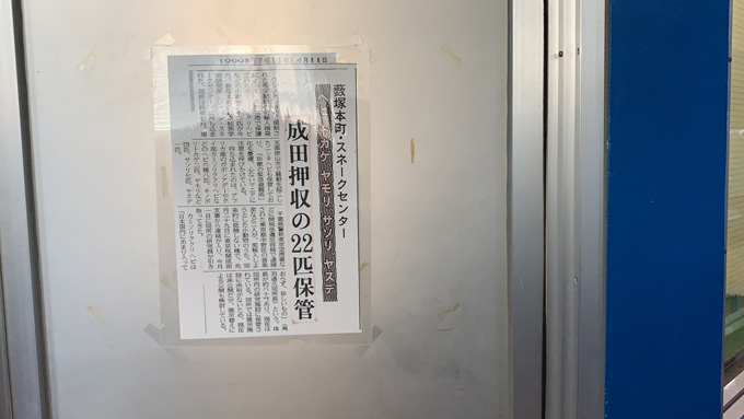 違法で飼育されていた「地上最強の毒蛇」が群馬県に集結！ 爬虫類専門の動物園『ジャパンスネークセンター』に村田らむが潜入！の画像10