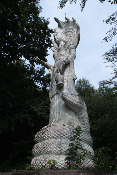 違法で飼育されていた「地上最強の毒蛇」が群馬県に集結！ 爬虫類専門の動物園『ジャパンスネークセンター』に村田らむが潜入！の画像19