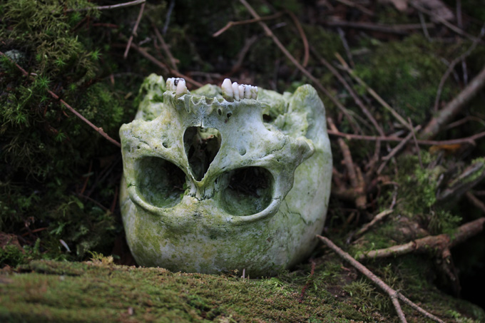 「樹海で人類滅亡を待つ人々」「死体の前で食事」青木ヶ原樹海の達人が最恐の人怖話や遺体エピソードを暴露！の画像10