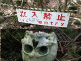 「樹海で人類滅亡を待つ人々」「死体の前で食事」青木ヶ原樹海の達人が“最恐の人怖話や遺体エピソード”を暴露!