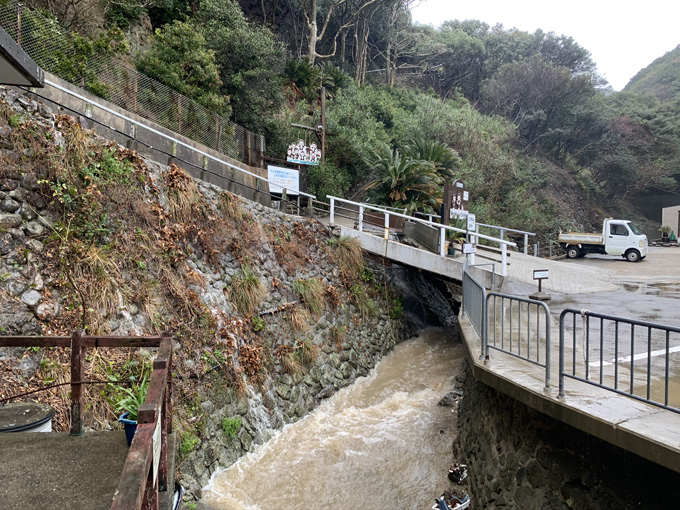 「大量の猿」に囲まれる恐怖を日本で味わえる! 淡路島モンキーセンターに村田らむが潜入…野生の弱肉強食エグすぎ!の画像2