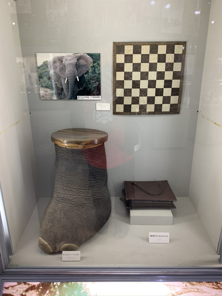 「おのころ島神社→淡路ワールドパークONOKORO」淡路島を村田らむが満喫！ ボリビアのまじない人形から立体迷路まで！の画像25