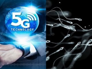 「5Gで精子減少、大量不妊時代が来る」科学者断言！ 我々のDNAは既に損傷、更なる被曝時代へ突入！