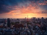 未来人ジョン・タイターが猿軍団を連れて帰ってきた! 新型コロナで「2020年日本は3つに分断され、岡山が首都になる」的中か!?