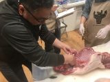 縄文ブームの“本当の理由”がイノシシ解体でわかった! 15000年前を生きた先祖とシンクロする唯一の方法とは!?(レポート)
