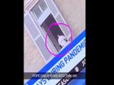教皇フランシスコはホログラムか!? 姿が一瞬で消える衝撃的瞬間、コロナ禍と新世界秩序と「ブルービーム計画」の陰謀がつながった!