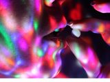 「フェイクドラッグで61%がトリップ体験」最新研究で判明! 幻覚剤の効果は“●●”で発揮される=カナダ