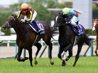 【極秘情報】新型コロナで競馬界にヤバすぎる異変！ JRA天皇賞・春（G1）でマスコミが知らない実態判明、ボロ儲けする人続出か!?