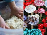 幻覚キノコの成分はイースト菌から作れると判明! ドラッグがパン1個の値段に!?