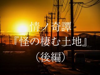 9歳女児転落事件が起きた「N地区」の怪！謎の空き家、白骨遺体…川奈まり子の実話怪談『怪の棲む土地』（後編）