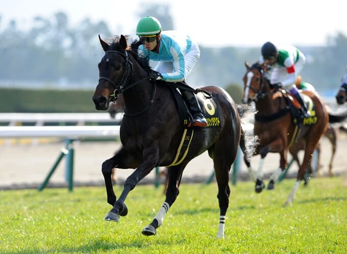 JRAオークス（G1）の超極秘情報が流出！ 最強牝馬デアリングタクトを潰しにかかるあの刺客を特定！の画像1