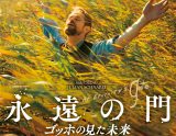 ゴッホはなぜ耳を切り取ったのか?耳切り事件の真相とゴッホのBL的ヤバさを追究した映画『永遠の門 ゴッホの見た未来』がエグ美しい!