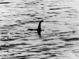 「ネス湖にネッシー生息の可能性は十分ある」ついに著名生物学者が断言! 少年時代の衝撃体験も暴露