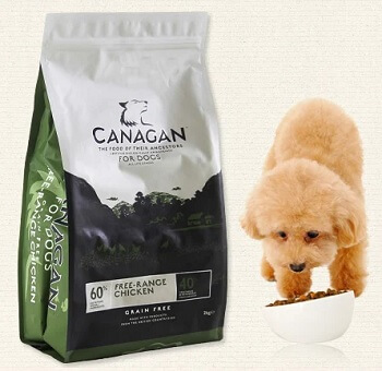 日本初上陸を果たした最強のドックフードとは!? 人間が食べられるほど高品質、犬が鳴いて喜ぶ… ヤバすぎて世界中で話題！の画像2