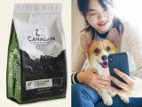 日本初上陸を果たした最強のドックフードとは!? 人間が食べられるほど高品質、犬が鳴いて喜ぶ… ヤバすぎて世界中で話題!