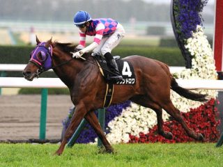 競馬ファンが悲鳴、その“意外な理由”とは？ JRA中京記念（G3）が“異常●●”で大変なことに… 衝撃の万馬券発生か!?