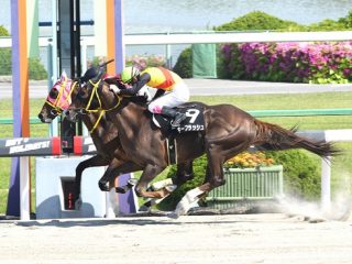 競馬で毎週“万馬券的中”している人々のヤバすぎる秘密とは!? コロナ不況も関係なし…今週末のJRA中京記念でも！