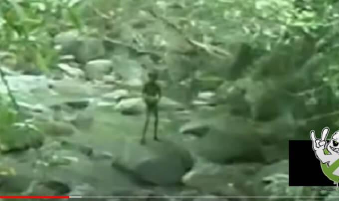 世界一ヤバイ「現代の宇宙人映像」７選！ 全裸宇宙人、挙動不審グレイ、気味悪い顔、半透明…の画像2