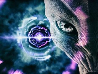 森に「異世界への穴」が空いてしまった戦慄事件！ 半透明の岩、謎の双子… “向こう側”にあったものとは!?