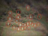 【周庭】宇宙人が香港介入へ?「UFOの大群」が台湾に出現…次は香港か「エイリアンは中国の沿岸地域を100%カバー」