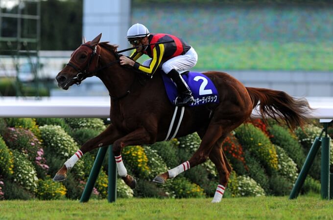 謎の出産、原因不明の火災と犯罪… ヤバすぎる異変相次ぐ競馬界！ 不測の事態はJRA札幌記念でも予言されている!?の画像1