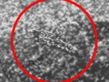 【衝撃】38年前にソ連が「金星で生きたサソリ」を発見していたと判明!!  科学者が証拠写真&論文発表、だがNASAの妨害で…!