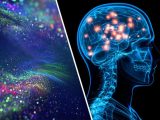 【死後の世界】意識は死んだ後も残るか「重要ポイント11」を公開!体は粒子で意識は波、非局所…最先端研究!