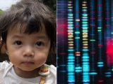 ハーフの人がそうでない人と比べて優れている4項目とは!? 遺伝レベルで優位性か、科学研究で確定!