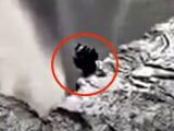アイスランドの滝で“古代の小型エイリアン”が激撮される! 崖をよじ登る姿に観光客戦慄… 伝説の「フルドゥフォルク」か!?
